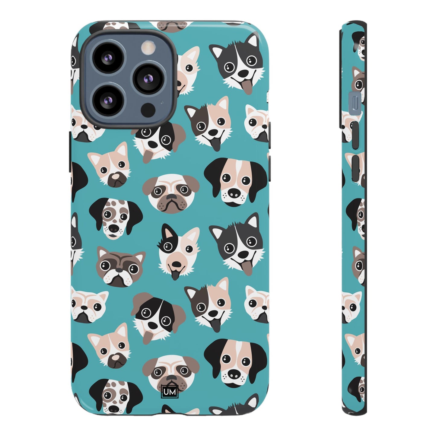 Chien Faces Tough Case