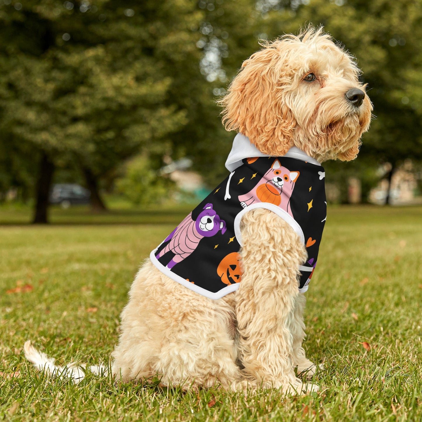 Sudadera con capucha para mascotas de la UM