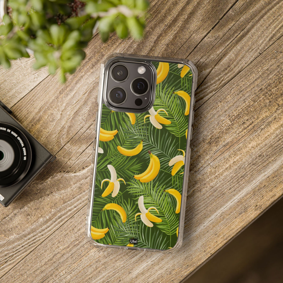 Platano Tree