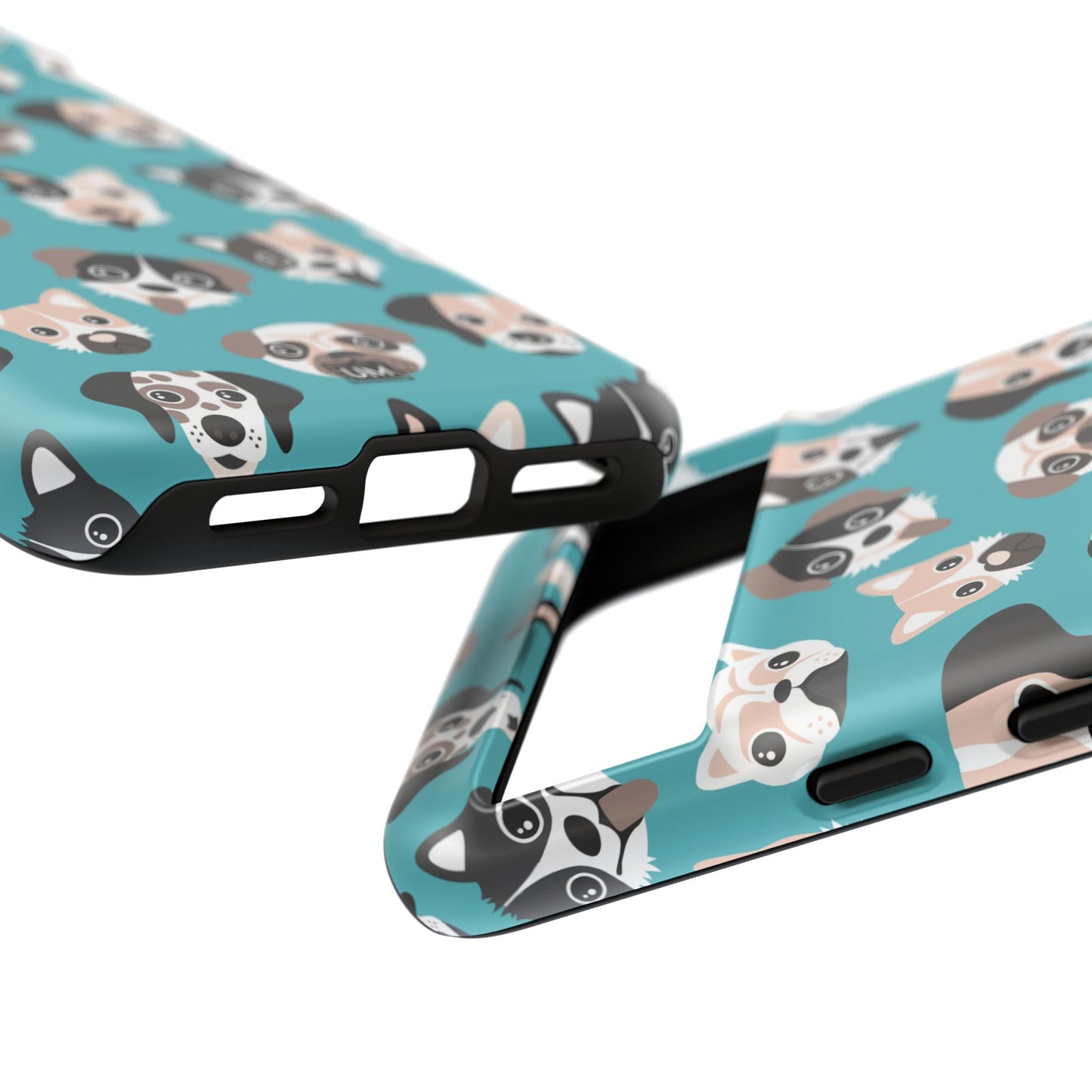 Chien Faces Tough Case