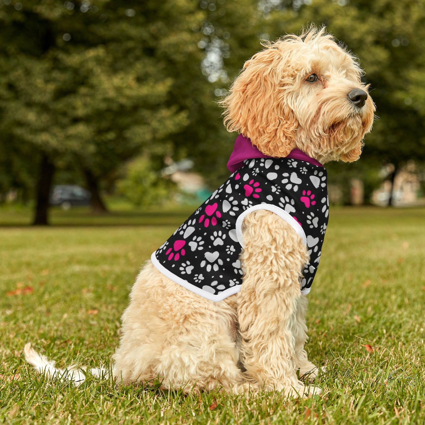 Sudadera con capucha para mascotas de la UM