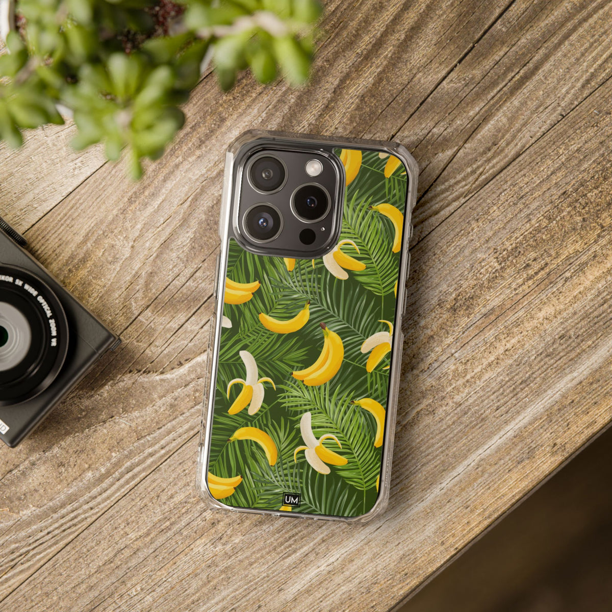 Platano Tree