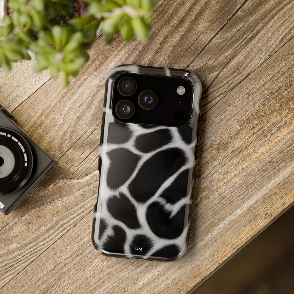 Noir Safari