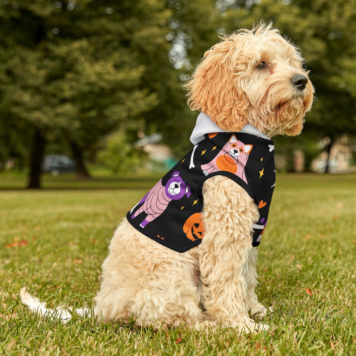 Sudadera con capucha para mascotas de la UM