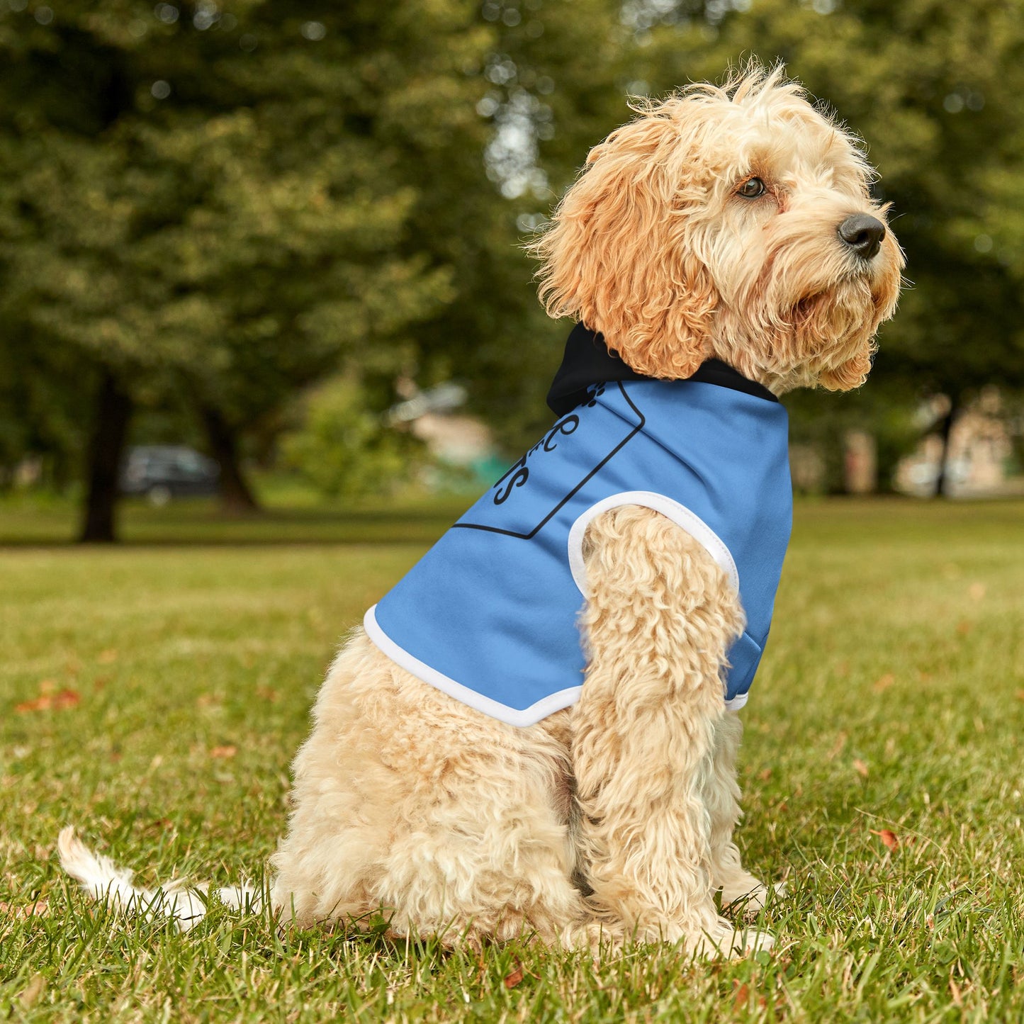 Sudadera con capucha para mascotas de la UM