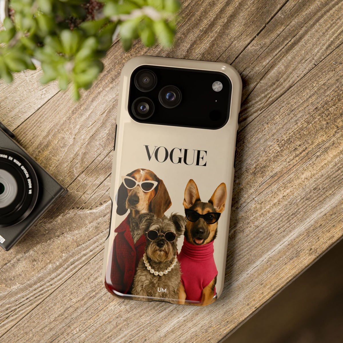 Vogue Paws
